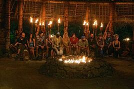 Tribe