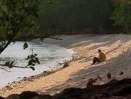 Survivor.Vanuatu.s09e08.Now.the.Battle.Really.Begins.DVDrip 194