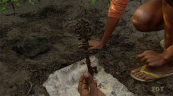 Hidden Immunity Idol Survivor Wiki Fandom Hidden Immunity Idol Survivor Wiki Fandom