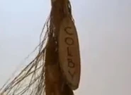 S8Colby'sTorch.jpg (21 KB) Colby's torch.