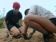 Debb fire.png (430 KB)