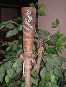 Rory S9.jpg (472 KB) Rory's autographed torch.