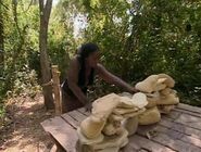 Cirie counting rocks (Panama).