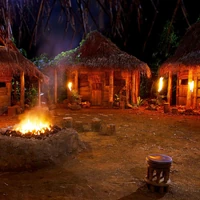 Australian Survivor (2016) Tribal Council.