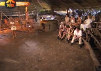 La Selva de los FamoS.O.S. Tribal Council.