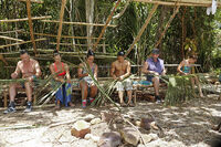 Kelly with Terry, Shirin, Woo, Jeff, and Abi-Maria working at the shelter.