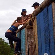 Allstars 11.jpg (10 KB) Alicia competes in the combined Reward/Immunity Challenge, Big Bad-O Course.