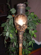 Survivor: Fiji Torch.