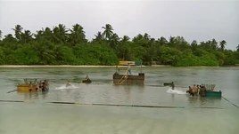 Zas04e03 basket brawl