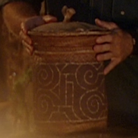 Survivor: The Amazon Urn.