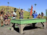 Survivor Jackpot