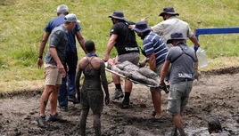 ZAS9 Shona Near Evacuation