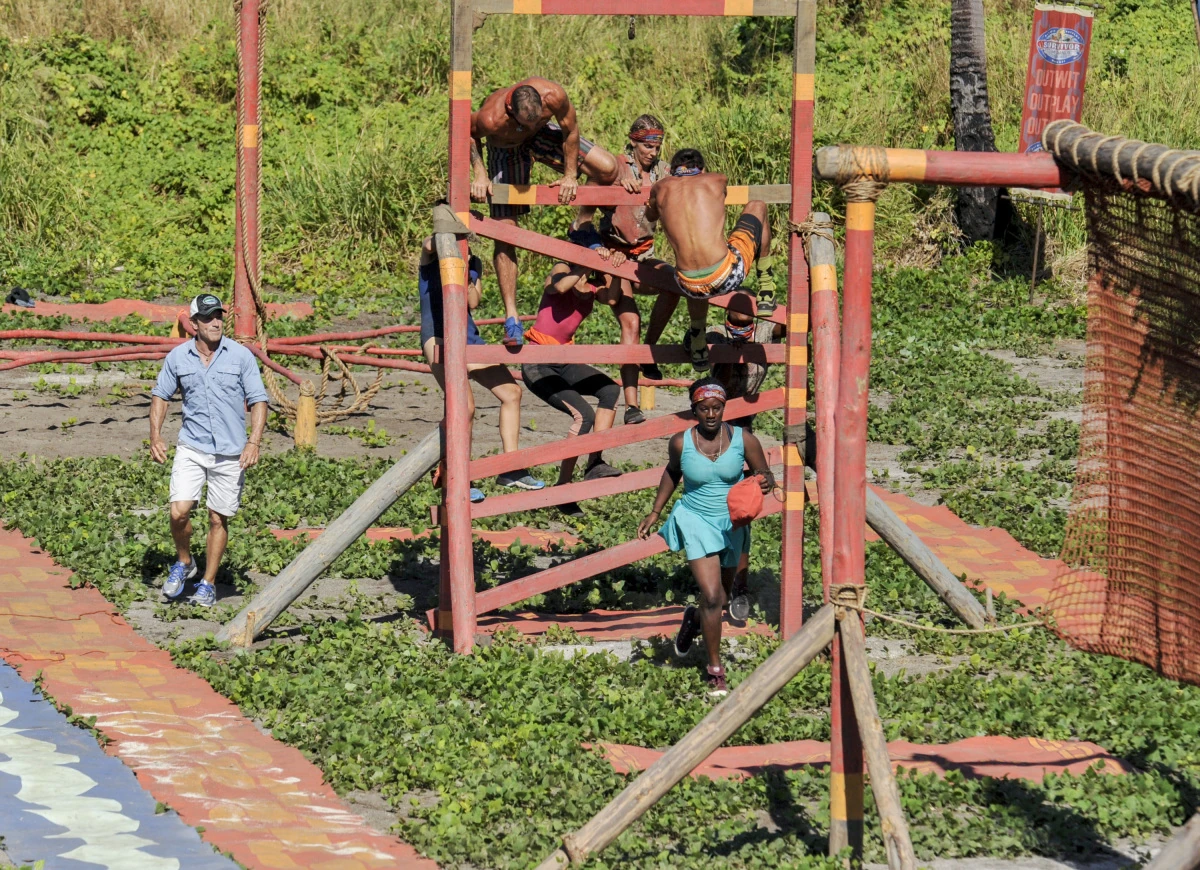 Dulcimer Stomp Survivor Wiki Fandom