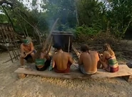 Mogo Mogo gather at their shelter in All-Stars.