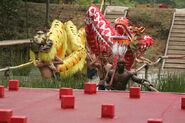 The tribes compete in the first Reward/Immunity Challenge, Dragon Dance.