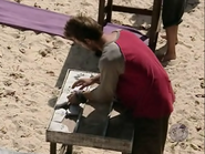 Aras at the Immunity Challenge