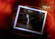 Tina's second photo in the intro.