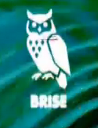 The insigna for Brise