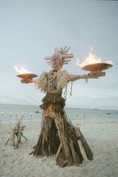 The bonfire in Borneo.