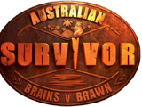 Australian Survivor: Brains v Brawn II