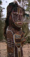 Survivor: The Australian Outback Immunity Idol.