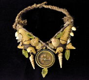 Survivor: Worlds Apart Immunity Necklace.