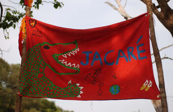 Jacare flag