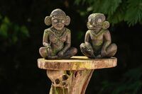 Survivor 47 Immunity Idols.