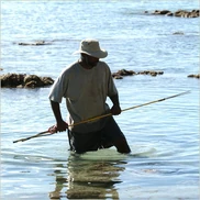 Rory fish.jpg (34 KB) Rory tries to fish for Lopevi.