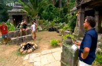 Expeditie Robinson 2008 Tribal Council.