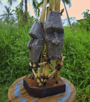 Survivor: Island of the Idols Immunity Idol.