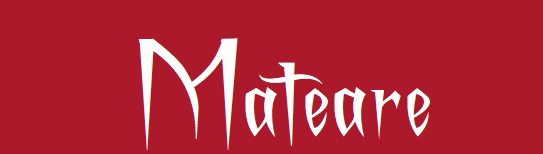 Mateare Survivor Fanon by Bartosh Wikia Fandom