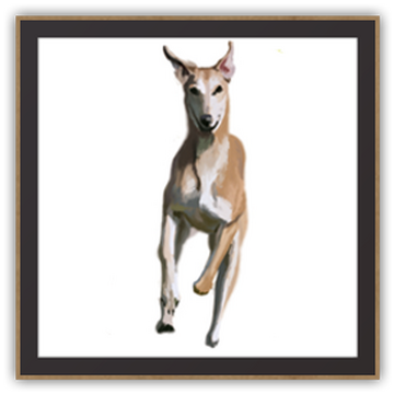Sweet Survivor Dogs Wiki Fandom