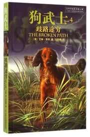 Chinesisches Cover (China)