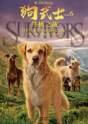 Chinese Edition