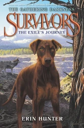 American Edition