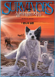 Korean Edition