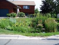 All About Rain Gardens – What They Are & How to Build One