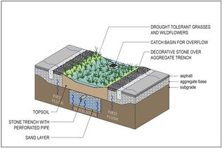 All About Rain Gardens – What They Are & How to Build One