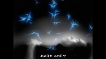 Byakkoya White Tiger Field Song Susumu Hirasawa English Fan Wiki Fandom