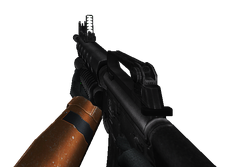 M16 View