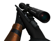 Sniper Rifle View.png
