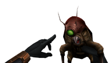 Snark View.png