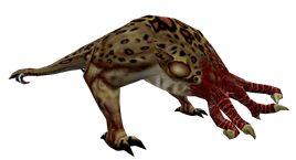 Bullsquid