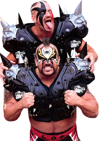 WWE リージョン•オブ・ドューム＆サニー WWE リージョン•オブ