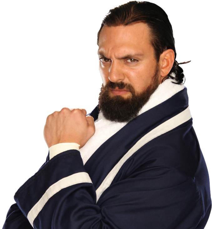 Damien Sandow, BWWE Wiki