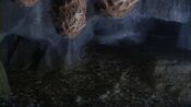 IratusBugNest