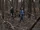 Brilliant Disguise (Episode)