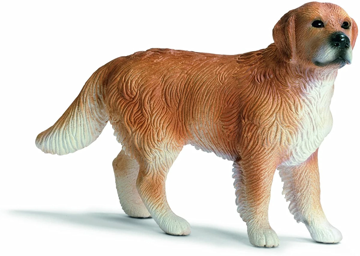 Sweltering Seadogs Swashbuckle Wikia Fandom