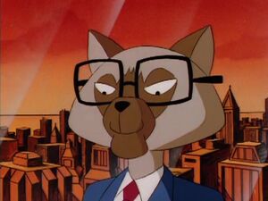 Mr-young.jpg